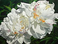 Suzy Smith