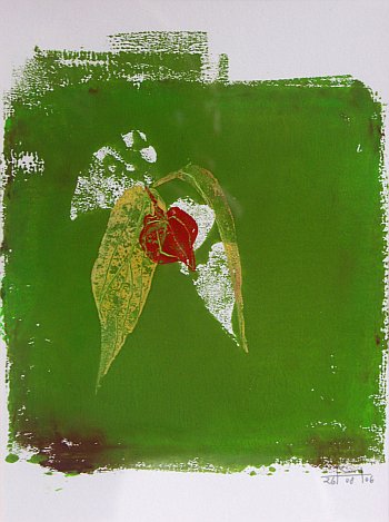 'Lampionplant', Mareike Henkel