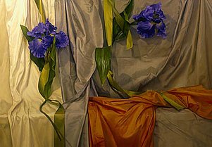 Judith Goldsmith